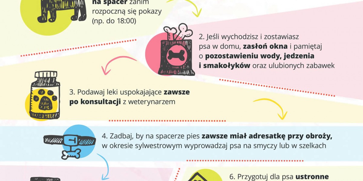 Plakat dla właścicieli psów przygotowany przez pirotechników