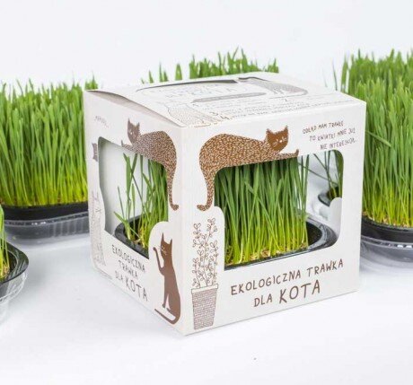 Kot w Butach - ekologiczna trawka dla kota